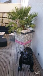 Gabion jardinière sur-mesure